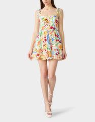 PICNIC PARTY DRESS